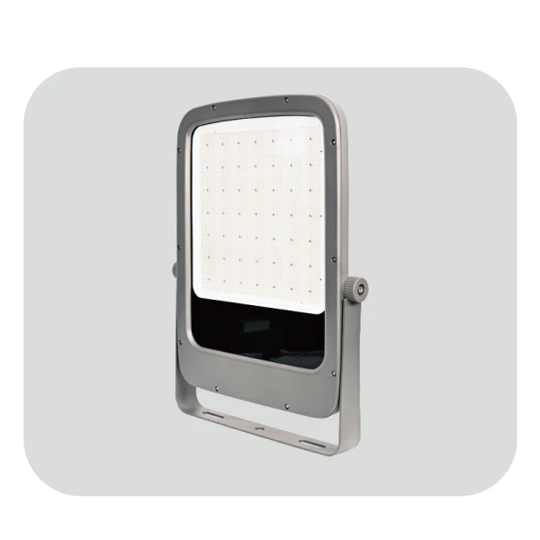 Downlight Concrete Ceiling